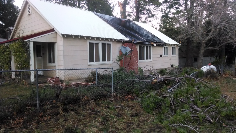 Close-up view of roof damage from the fallen cedar tree, showing broken roofing materials and structural impact